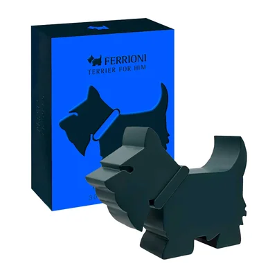 Ferrioni Terrier for Him EDP 90ml - Caballero
