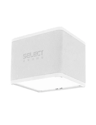 Bocina select Sound BT340B inalámbrica