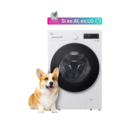 Lavadora LG Carga Frontal Ai Dd™ 20 Kg Blanco - Wm20Ewnts6P