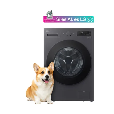 Lavadora Frontal 20Kg LG Wm20Egnts6