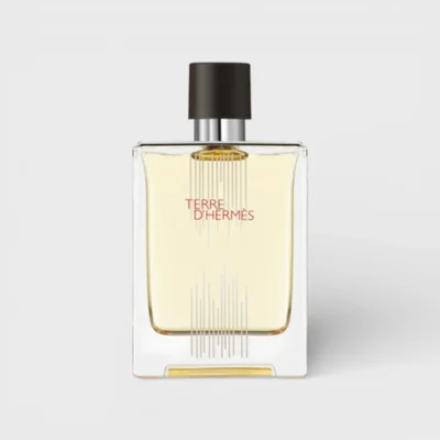 Hermes Terre D´ Hermes Edt 100 Ml Para Hombre