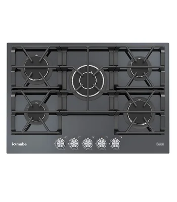 Parrilla de Gas LP Black 5 quemadores en Acero inoxidable