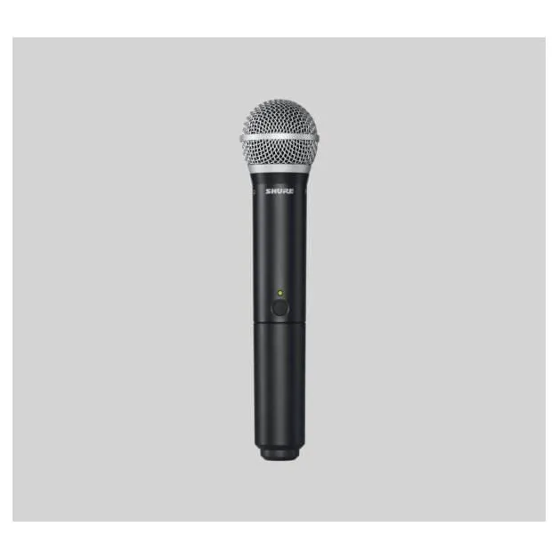 Micrófono Shure Inalambrico Con Receptor Blx24/pg58