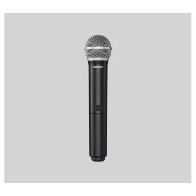Micrófono Shure Inalambrico Con Receptor Blx24/pg58