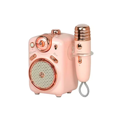 Bocina Bluetooth Con Karaoke Fairy