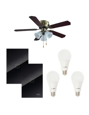 Ventilador de techo Igoto 3 velocidades