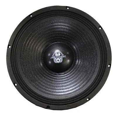 Bocina 15 pulgadas 300w rms megapower pa 15