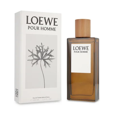 LOEWE POUR HOMME 100ML EDT