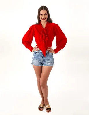 Blusa Beatriz Meade manga larga para mujer