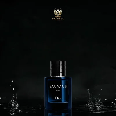 Sauvage Elixir