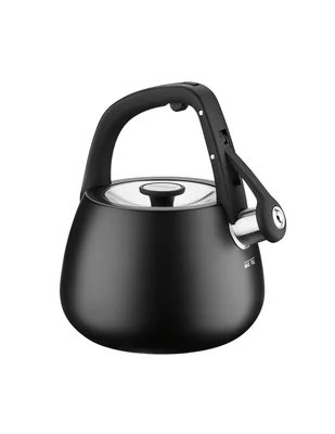 Tetera hervidora cuisinart de acero inoxidable