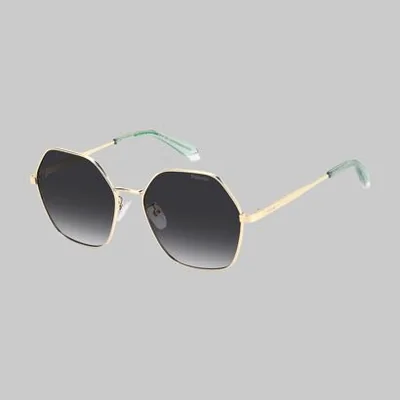 Lentes Polaroid PLD 4205/G/S/X