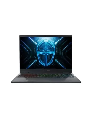 Laptop Thunderobot Radiant 16 i9 1TB Negro