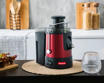 Extractor de Jugo Record con 2 Velocidades 400 Watts