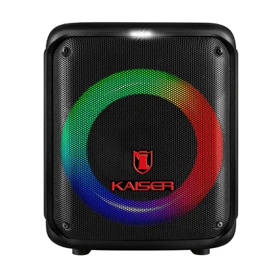Bafle Recargable Kaiser KSB-4108 8 pulgadas 12000W PMPO Negro SYP-Y