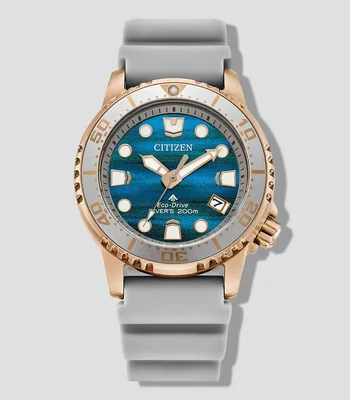 Reloj para Mujer Promaster Dive INK Deportivo Plateado, Azul