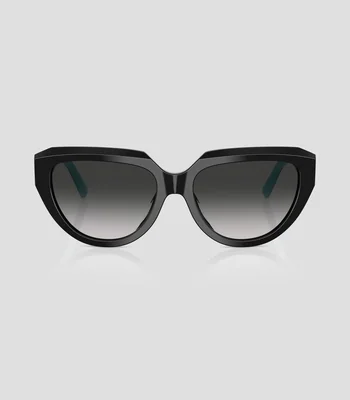 Lentes de Sol Ovalados