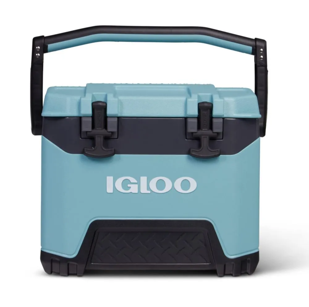 Igloo Celadon BMX - Hielera de 24 L