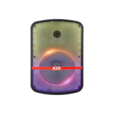 Bafle Profesional Recargable KSR 15 Pulgadas MSA-7515SC