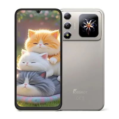 Smartphone FOSSIBOT FS7 4GB 128GB Gris (Natural)