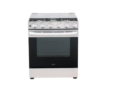 Estufa LG de Gas 5.8 Pies cúbicos con Easy Clean Gris