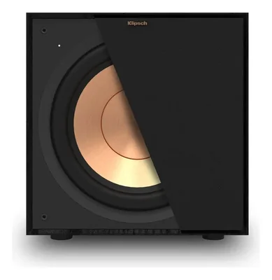 Subwoofer Negro Klipsch R-101sw De 10 Pulgadas