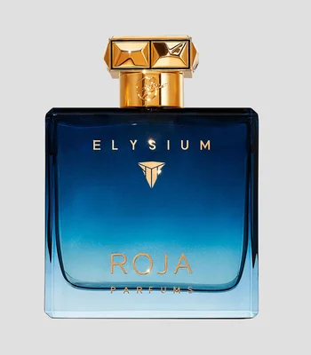 ROJ ELYSIUM POUR HOMME EDP 100ML