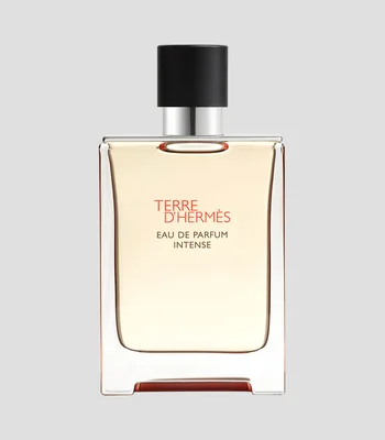 Perfume Terre dHermes, Eau de Parfum Intense, 100 ml para Hombre