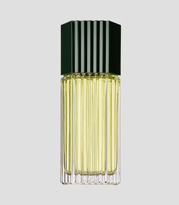 Perfume, Lauder For Men Eau de Toilette, 100 ml Hombre