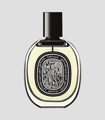 Perfume, Oud Palao Eau de Parfum, 75 ml Unisex