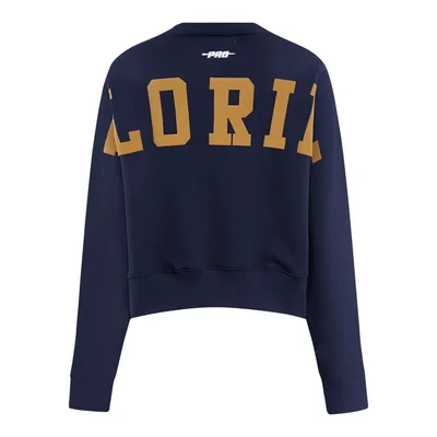 Sudadera Pro Standard Florida Panthers Wingspan