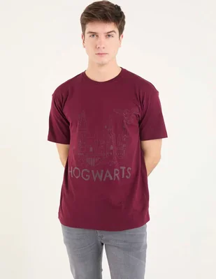 Playera Harry Potter Hogwarts cuello redondo para hombre