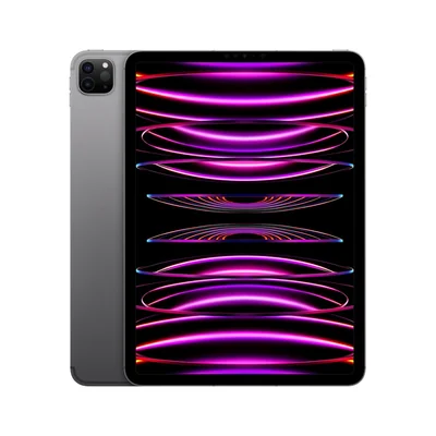 iPad Pro 11" MNYL3LZ/A Wi-Fi + Cellular 2TB Gris Espacial