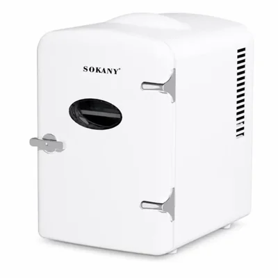 Mini Refrigerador Portátil SK-21031 4 L Frío y Calor para Hogar