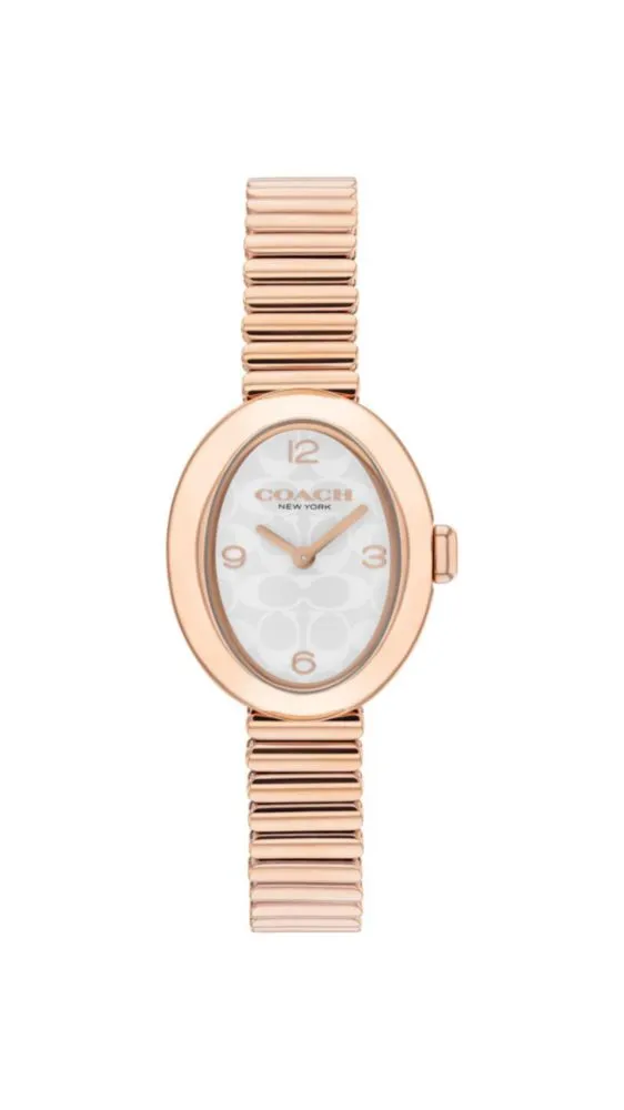Reloj Coach Sammy 225 mm con correa de acero inoxidable