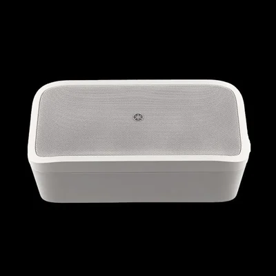 Subwoofer Compacto | 3.5" | 8 Ohms | 70/100V | 40w | Tecnología SR-Bass | Para uso con VXS1ML | Color Blanco