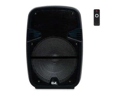 Bocina Bafle EVL GPR-55 40 W con Luces