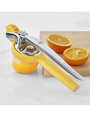 Exprimidor citrus