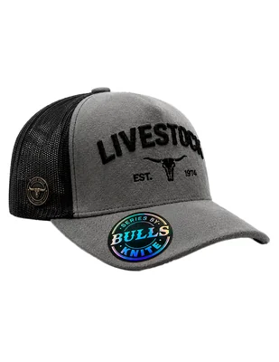 Gorra visera curva snapback casual para hombre