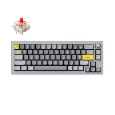 Teclado mecánico Keychron Q2 cableado 65% RGB con interruptores lineales Gateron Red