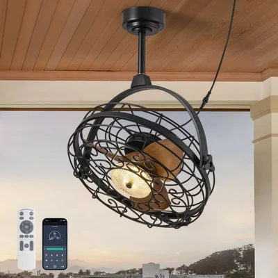 Ventilador de techo CROSSIO 58 cm con luces control remoto y por app
