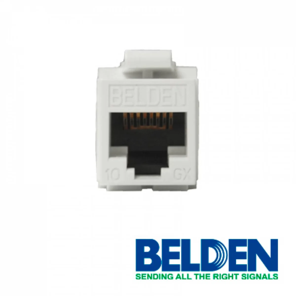 Conector Modular Jack Rj45 Cat6a Belden Ax102282 Estilo