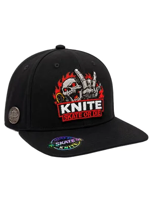 Gorra visera curva snapback para skate para hombre