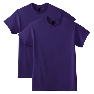 Camiseta Gildan G8000 DryBlend (Pack de 2)