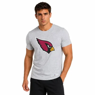 Playera Básica NFL Arizona Cardinals Manga Corta Gris Hombre