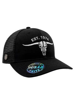 Gorra visera curva snapback casual toro para hombre