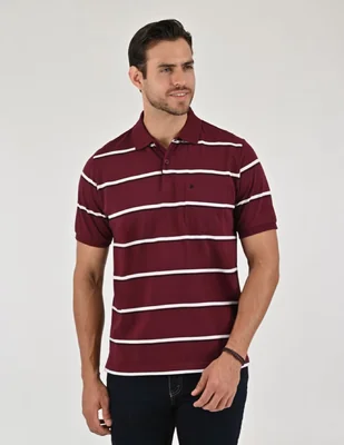 Playera tipo polo para hombre