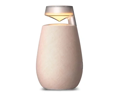 Bocina Bluetooth LG XBoom 360 XO2TBE 20 W con Luz