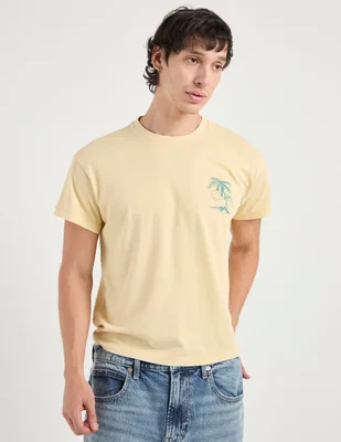 Playera American Eagle Tees cuello redondo para hombre