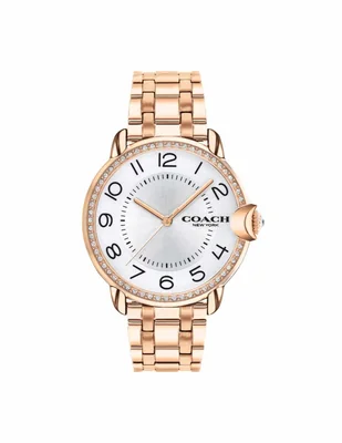 Reloj Arden para mujer 14503809